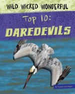 Top 10 Daredevils
