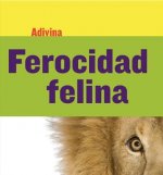 Ferocidad Felina / Fiercely Feline