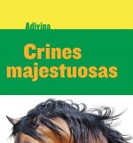 Crines Majestuosas / Majestic Manes