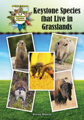 Keystone Species That Live in Grasslands