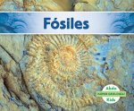 Fósiles / Fossils