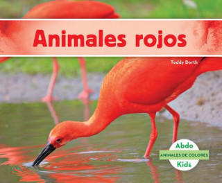 Animales rojos / Red Animals