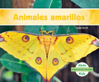Animales amarillos / Yellow Animals