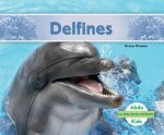 Delfines /Dolphins
