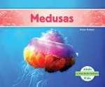 Medusas /Jellyfish