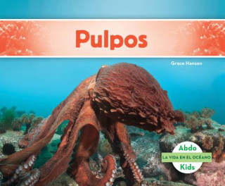 Pulpos /Octopuses