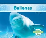 Ballenas /Whales