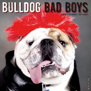 Bulldog Bad Boys 2017 Calendar