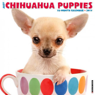 Just Chihuahua Puppies 2017 Calendar