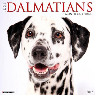 Just Dalmatians 2017 Calendar