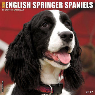 Just English Springer Spaniels 2017 Calendar