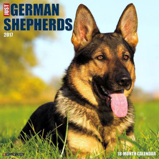 Just German Shepherds 2017 Calendar