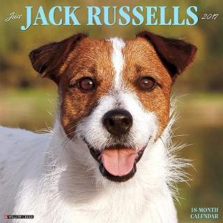 Just Jack Russells 2017 Calendar