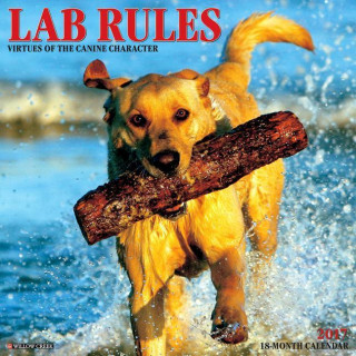 Lab Rules 2017 Calendar