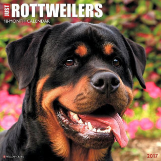 Just Rottweilers 2017 Calendar
