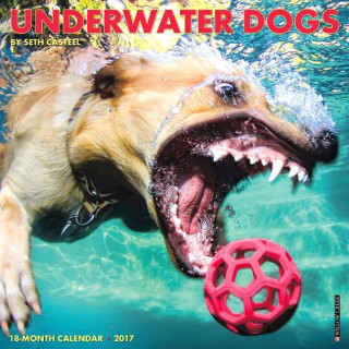 Underwater Dogs 2017 Calendar