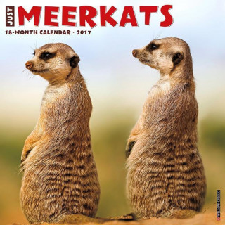 Meerkats 2017 Calendar