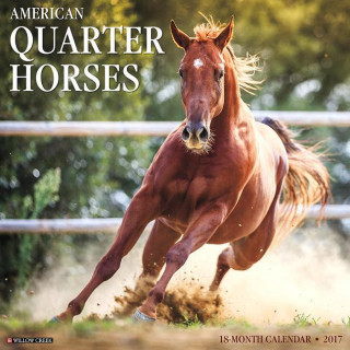 American Quarter Horses 2017 Calendar
