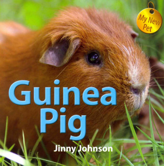 Guinea Pig