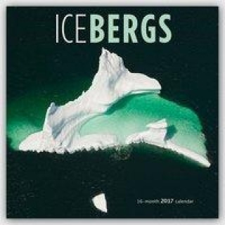 Icebergs 2017 Calendar