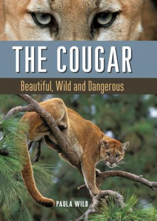 Cougar