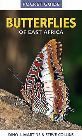 Butterflies of East Africa