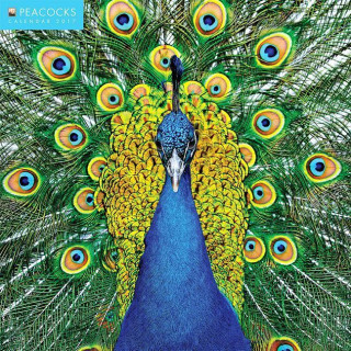 Peacocks 2017 Calendar