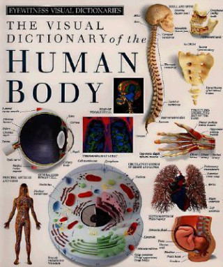 The Visual Dictionary of the Human Body