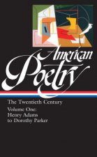 American Poetry