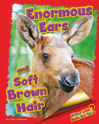 Enormous Ears and Soft Brown Hair