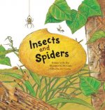 Insects and Spiders