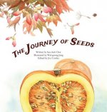 The Journey of Seeds