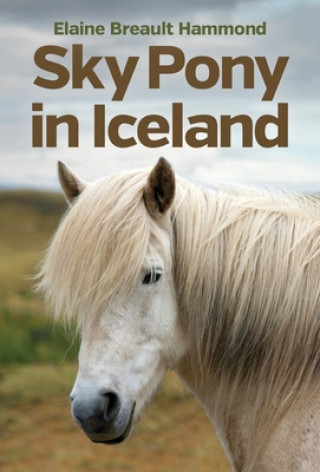 Sky Pony in Iceland
