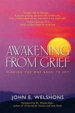 Awakening from Grief