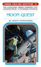 Choose Your Own Adventure 26