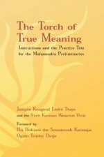 The Torch of True Meaning
