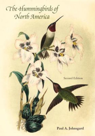 Hummingbirds of North America