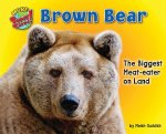 Brown Bear