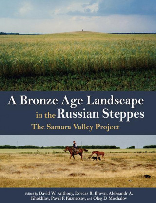 Bronze Age Landscape in the Russian Steppes