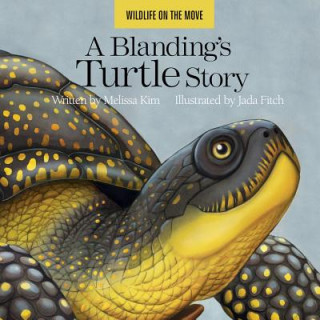 A Blanding’s Turtle Story