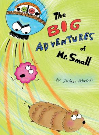 Big Adventures of Mr. Small