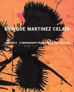 Enrique Martinez Celaya - 1992 - 2015