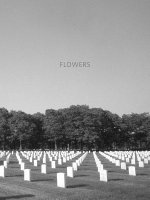 Virginia Dwan - Flowers