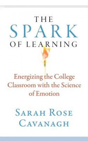 Spark of Learning