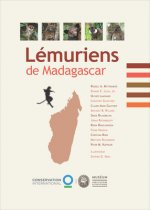 Lémuriens De Madagascar