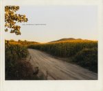 Joel Sternfeld