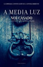 A media luz/ A Dim Light