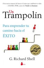 Un trampolín/ Springboard