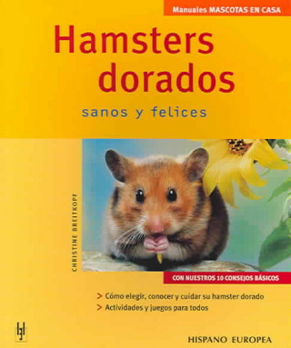 Hamsters Dorados / Gold Hamsters