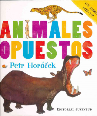 Animales opuestos / Animals Opposite